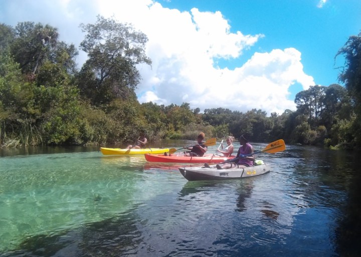 Weeki Wachee River