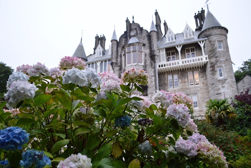 chateau-rhianfa_flowers