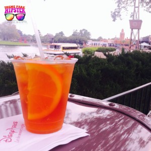 tbb-drinking-at-disney